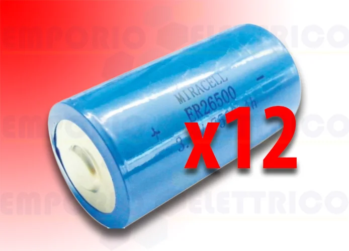 bft confezione 12 batterie per fotocosta dcw bat n999465