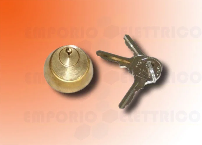 faac cilindro interno con n.2 chiavi x elettroserratura 712651001/36