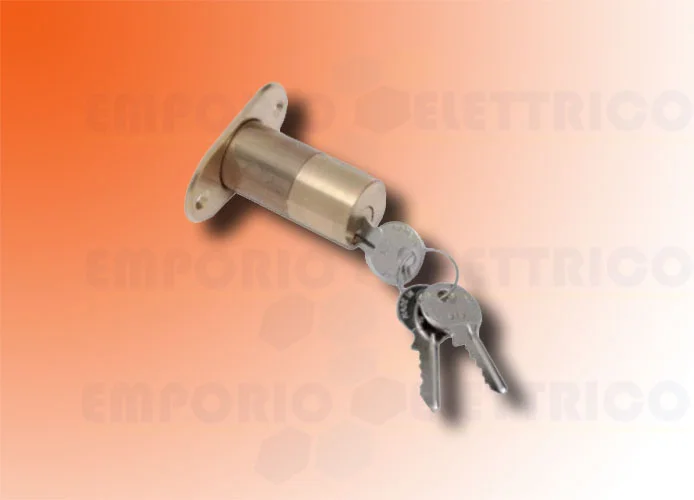 faac cilindro esterno con n.2 chiavi x elettroserratura 712652001/36