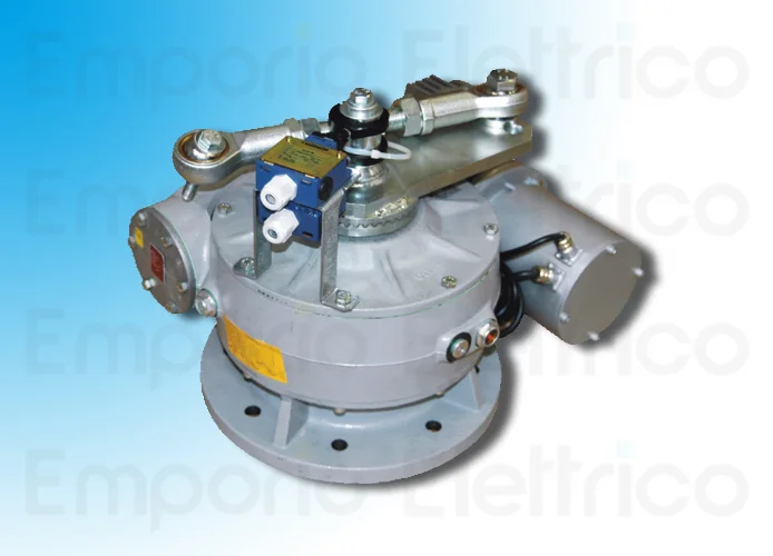 came motoriduttore irreversibile 230v 400v trifase frog-md 001frog-md