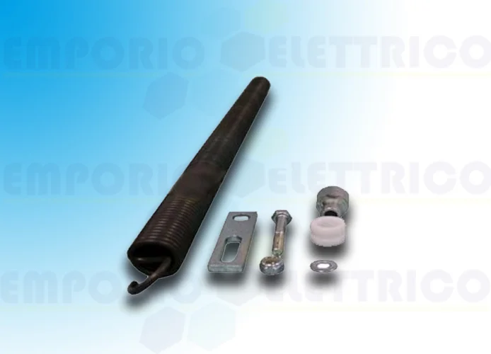 came ricambio molla bilanciamento g2500 119rig084