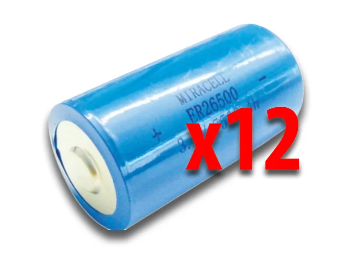 bft confezione 12 batterie per fotocosta dcw bat n999465