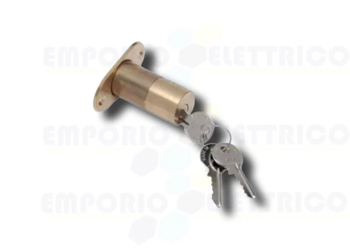faac cilindro esterno con n.2 chiavi x elettroserratura 712652001/36